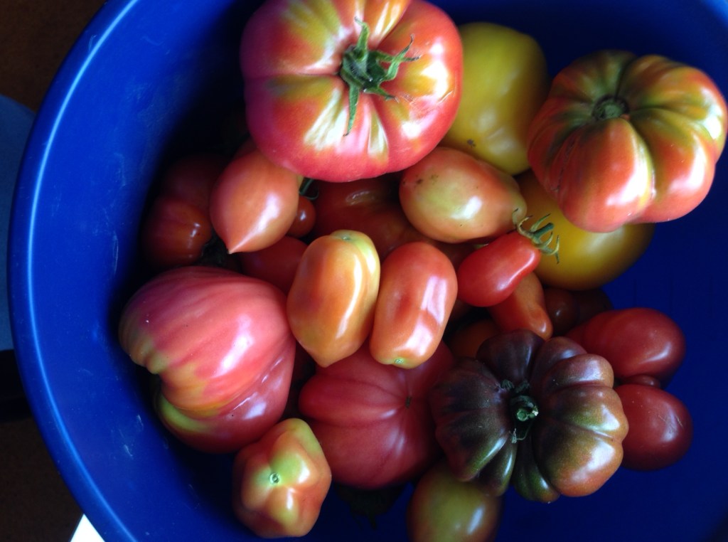 In Detroit, Growtown&nbsp;Blooms