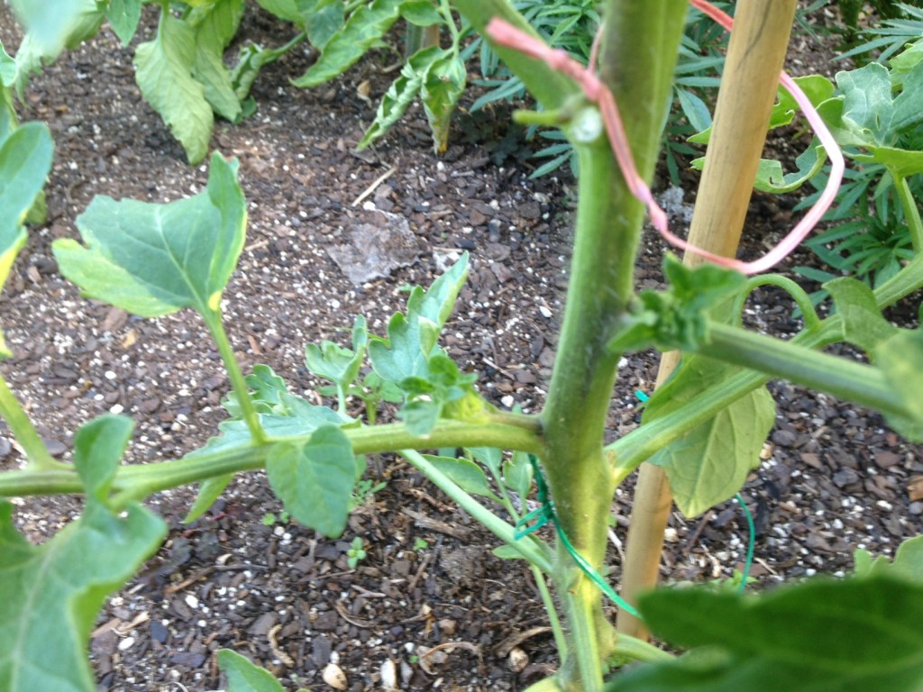 Lateral Thinking At A&nbsp;Pinch