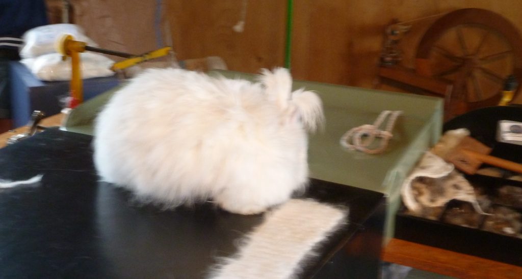 Postcard From Waitomo