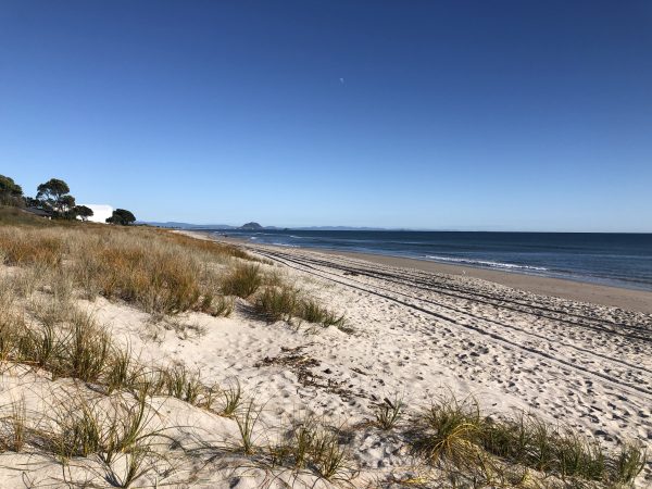 Postcard from Papamoa