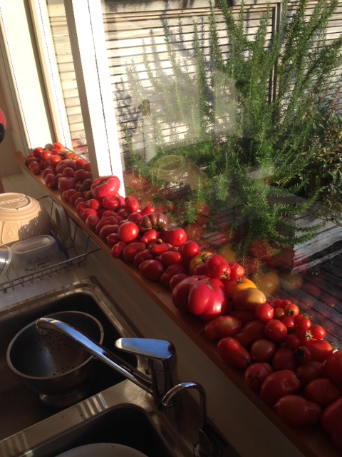 Ripening – The Window Sill&nbsp;Way