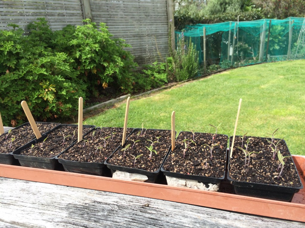 Early Results With The Window Sill&nbsp;Method