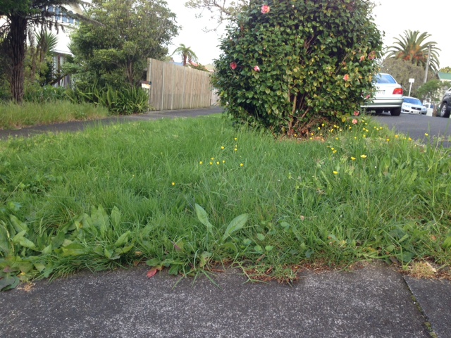 “Berms” Bigger Than A&nbsp;Labrador