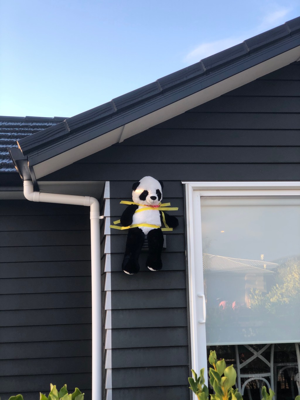 Postcard from Lockdown